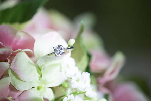 Indianapolis Senior Photographer | Connie Etter Photography -0369