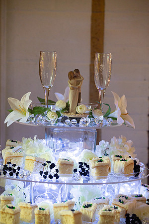 Indianapolis Senior Photographer | Connie Etter Photography-2-50