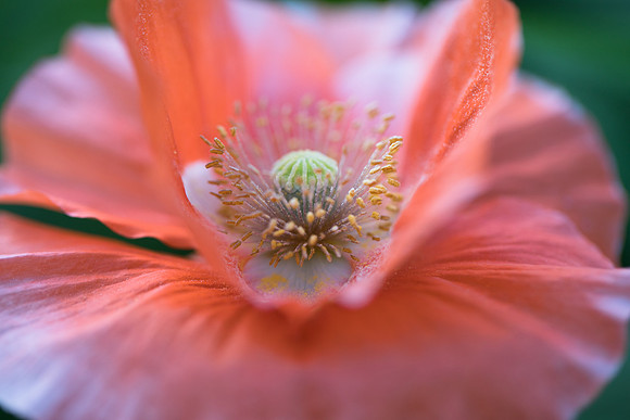 Indianapolis Senior Photographer | Connie Etter Photography-2-21
