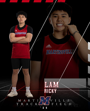 print ricky 2025 MARTINSVILLE TRACK BANNER