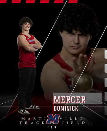 PRINT DOMINICK 2025 MARTINSVILLE TRACK BANNER