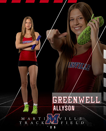 PRINT ALLYSON 2025 MARTINSVILLE TRACK BANNER