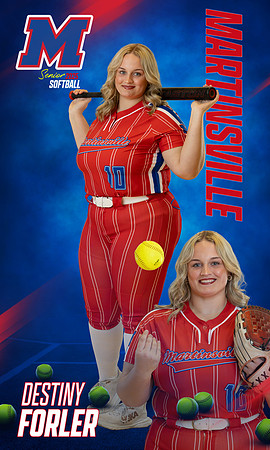 PRINT destiny 2025 new softball template
