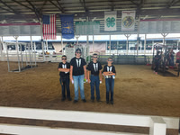 Morgan County Fair & 4-H Beef Grooming Contest