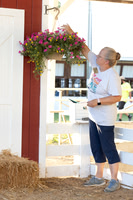 Morgan County 4-H Fair Goat
