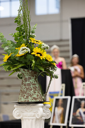 Indianapolis Senior Photographer Connie Etter Photography-2712