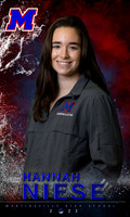 HANNAH banner 1-1