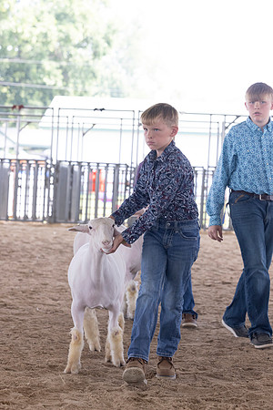 Indianapolis Senior Photographer Connie Etter Photography-5088