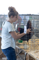 Indianapolis Senior Photographer Connie Etter Photography-4260