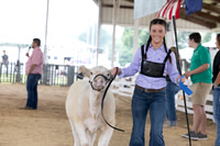 2025 Morgan County 4-H Beef and Dairy Show