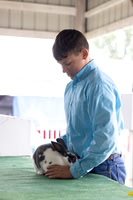 Morgan County 4-H Fair Rabbit Show