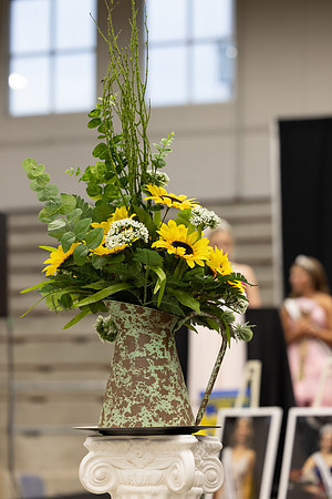 Indianapolis Senior Photographer Connie Etter Photography-2708