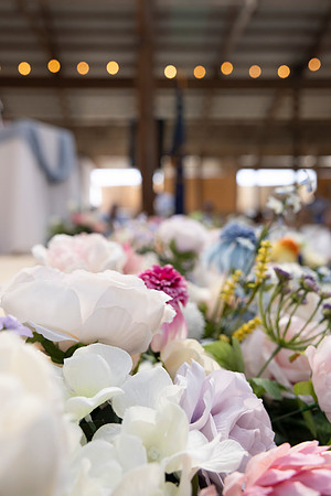 Indianapolis Senior Photographer Connie Etter Photography-1708