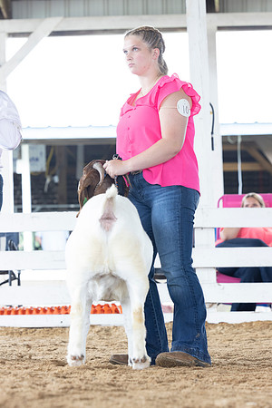 Indianapolis Senior Photographer Connie Etter Photography-4429