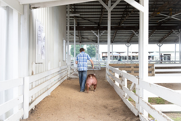 Indianapolis Senior Photographer | Connie Etter Photography -8803